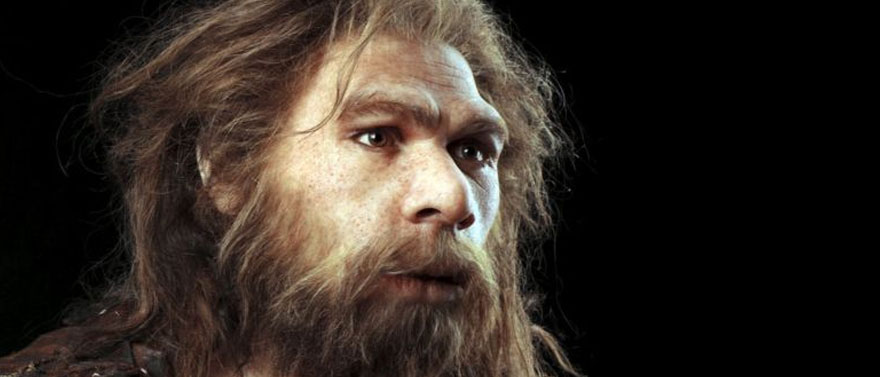 Neanderthal-toothpics
