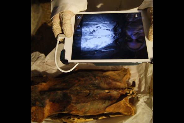 Anthropologist Ghada Darwish Al-Khafif uses infrared imaging to examine tattoos on the mummy's back.