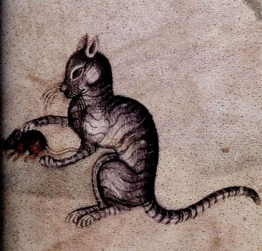 medieval-cat-archaeform-pet-522x500