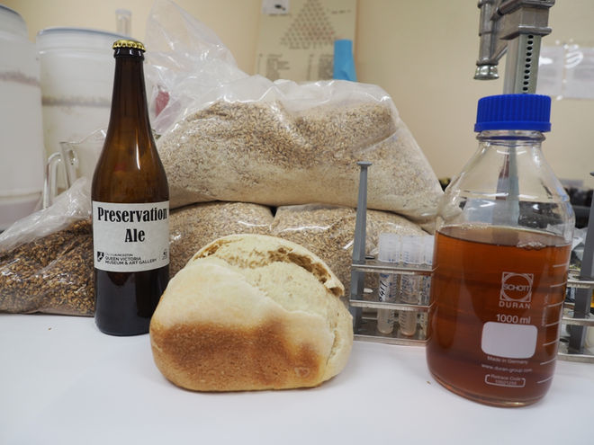 oldest-beer-archaeform-preserved-yeast-12